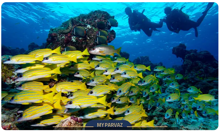 Banana Reef Maldives